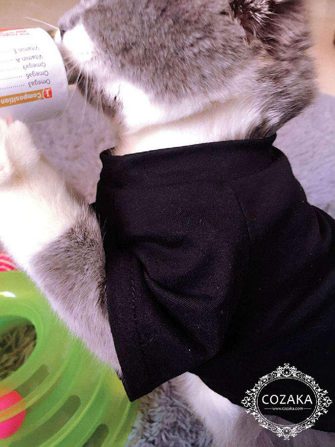 犬服 tシャツ ステューシー