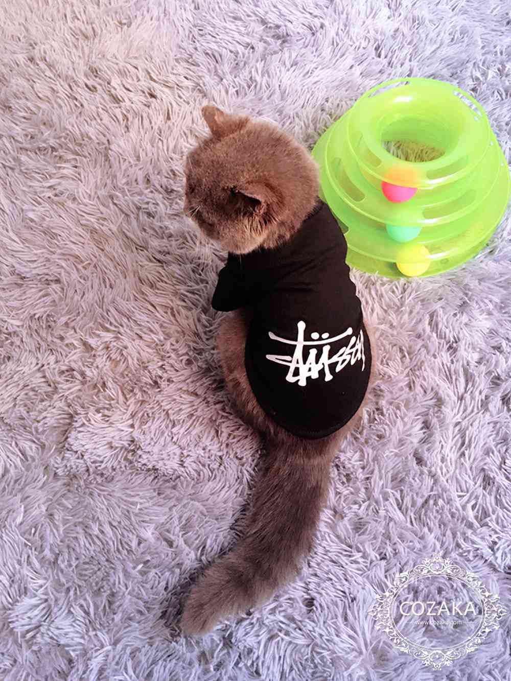 ねこ用 tシャツ ストリート系