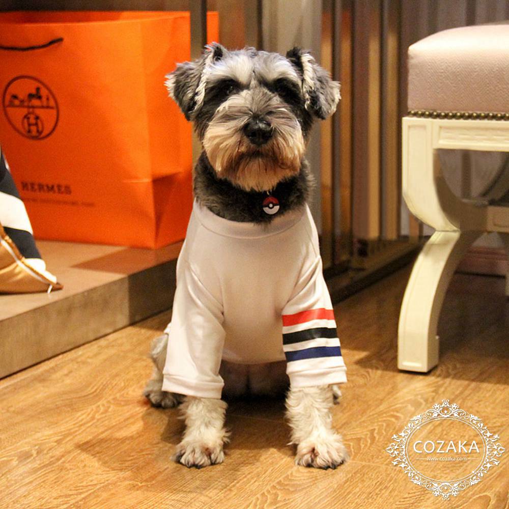 小型犬用 tシャツ THOM BROWNE