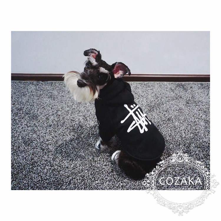 STUSSY 小型犬洋服 秋冬