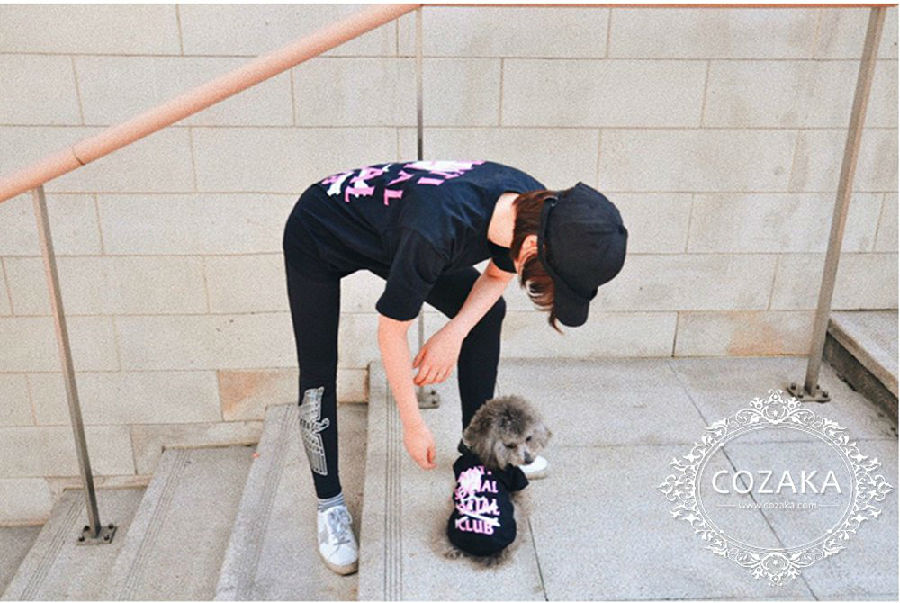 assc tシャツ 犬服