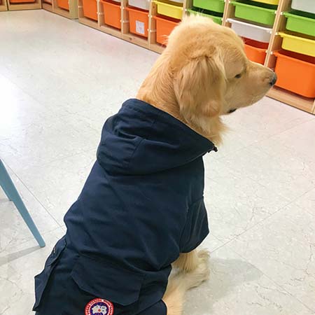 カナダグース 犬用パーカー オシャレ ポリエステルの形状記憶糸 高品質 Canada Goose