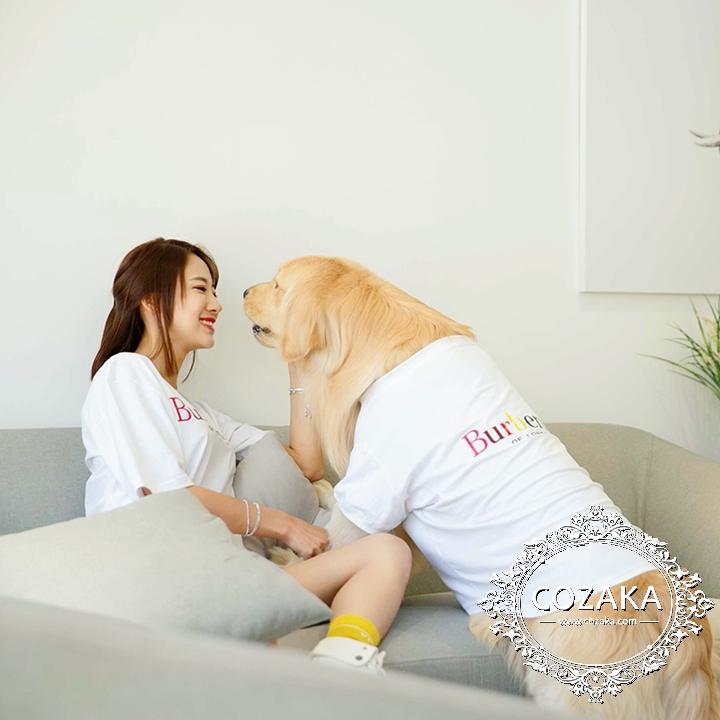 バーバリー 犬服 tシャツ お飼い主とお揃い