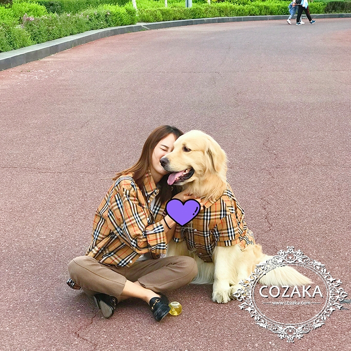 バーバリー 犬洋服 オシャレ