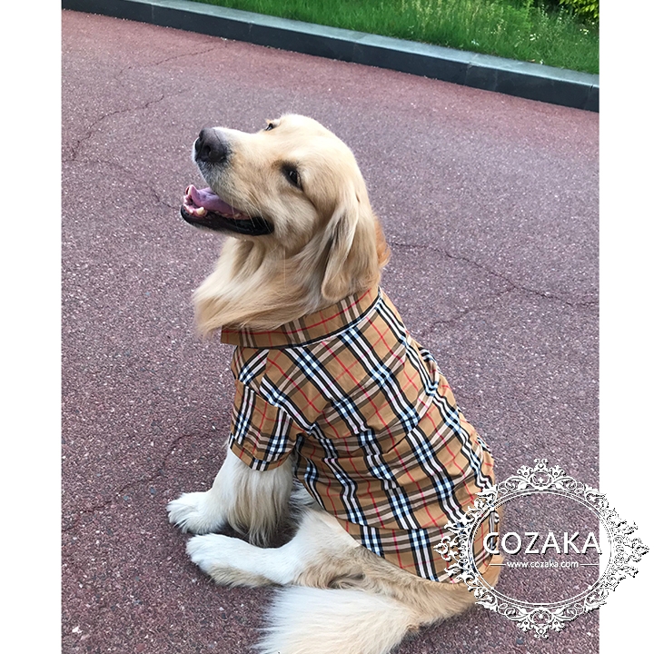 burberry ペットウェア 犬用洋服