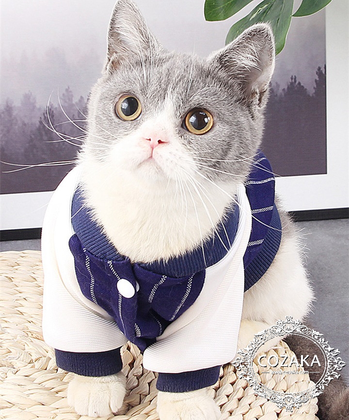 猫の服 オシャレ 秋