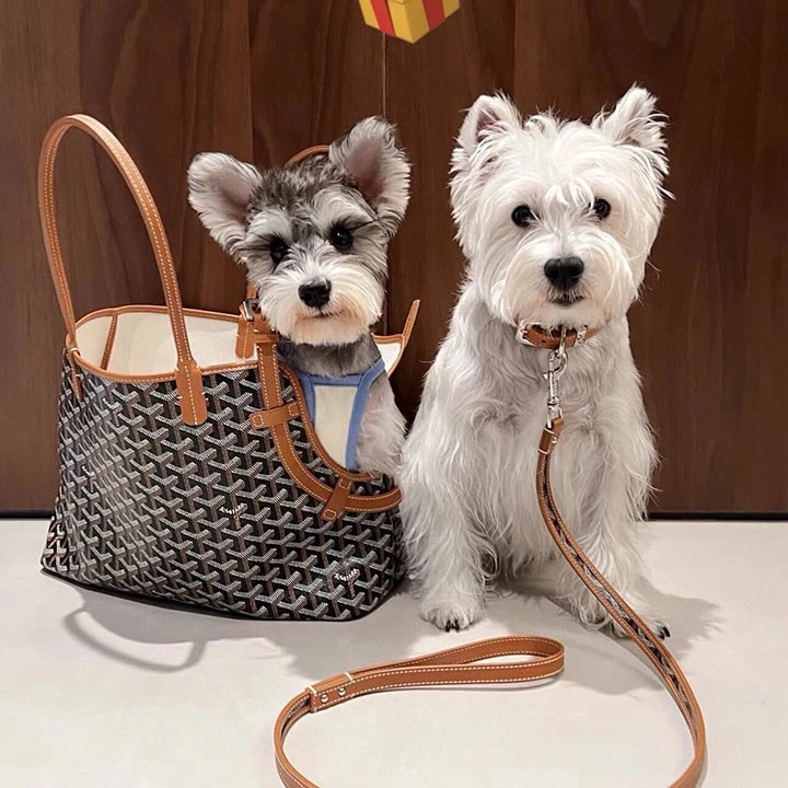 犬の goyard