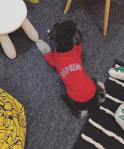 シュプリーム ドッグウェア ロゴtシャツ,supreme 犬服  レッド 半袖パーカー