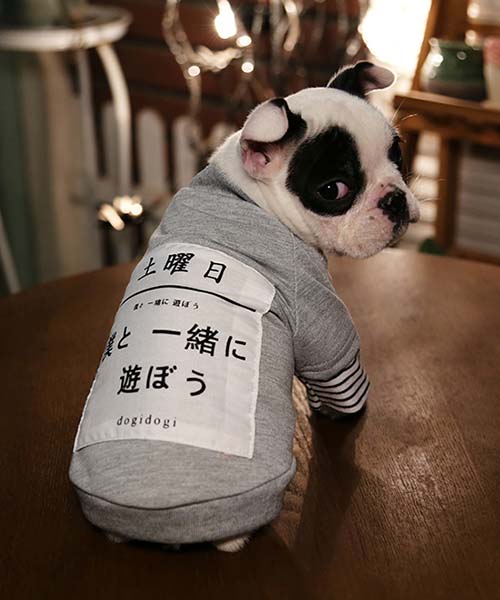 犬用 パロディ風 スローガン パーカー,parody 猫用 フーディー ペットウェア 洋服 