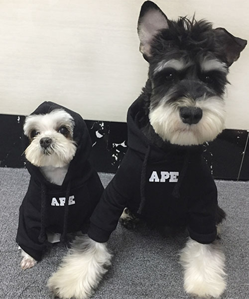 A BATHING APE パーカー 犬服,おしゃれ ア ベイシング エイプ ドッグウェア